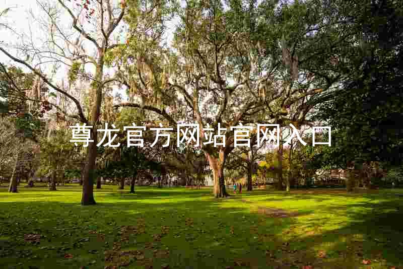 尊龙官方网站官网入口