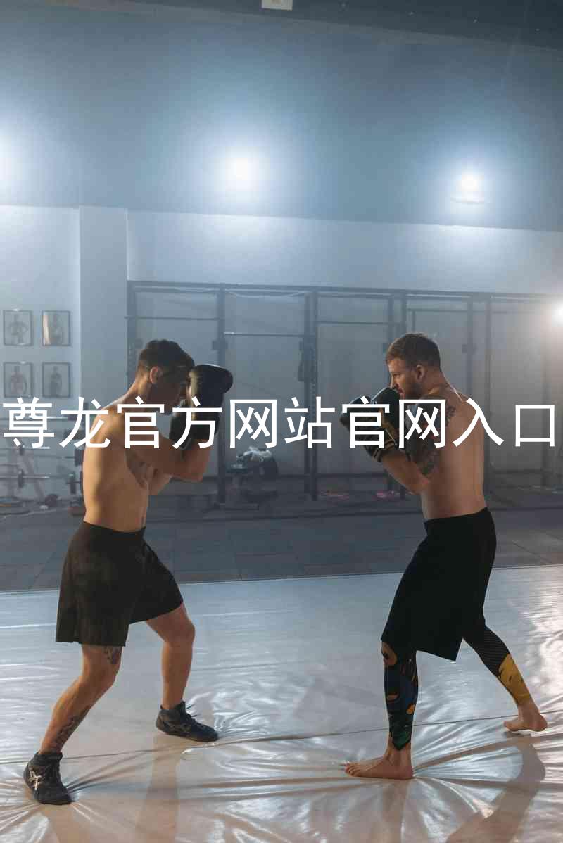 尊龙官方网站官网入口