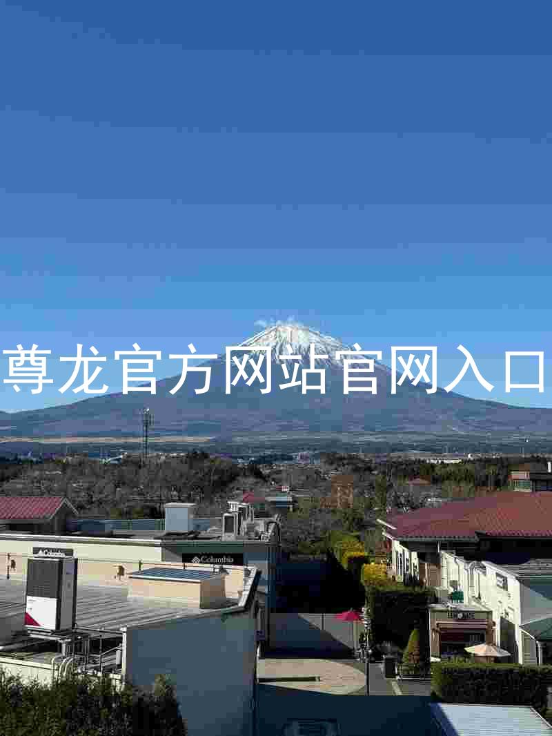 尊龙官方网站官网入口