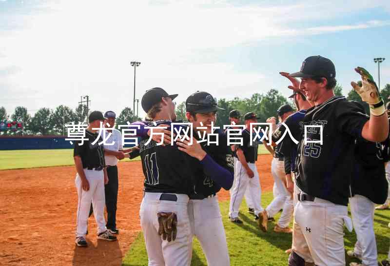 尊龙官方网站官网入口