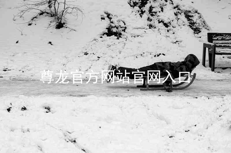 尊龙官方网站官网入口