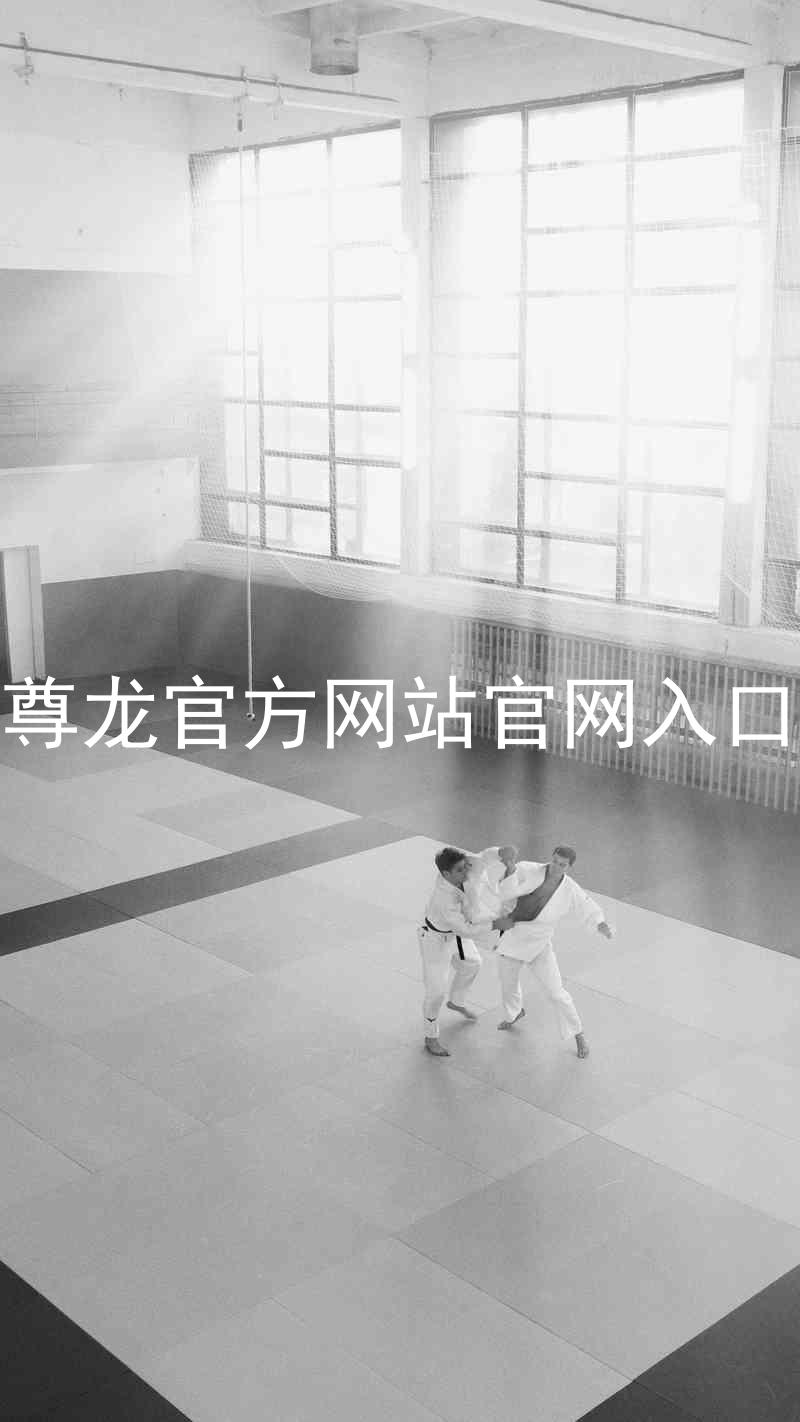 尊龙官方网站官网入口
