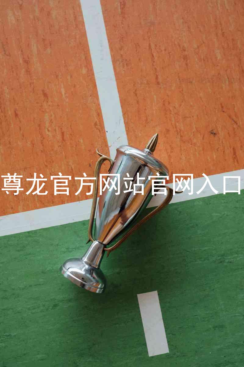 尊龙官方网站官网入口