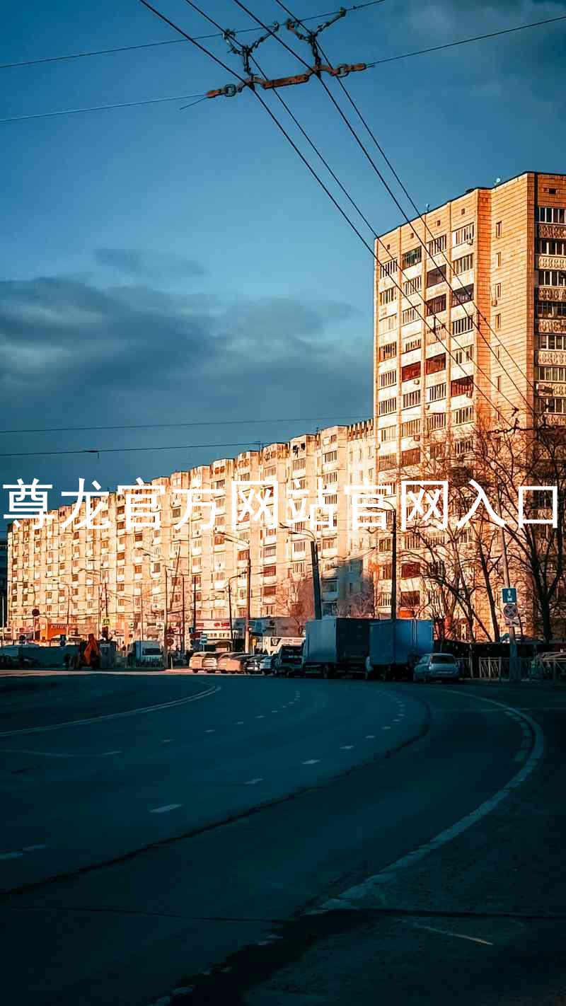 尊龙官方网站官网入口