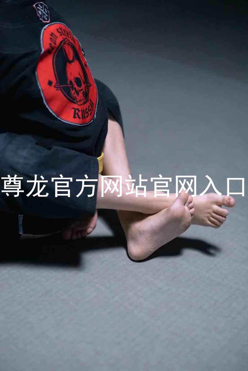 尊龙官方网站官网入口
