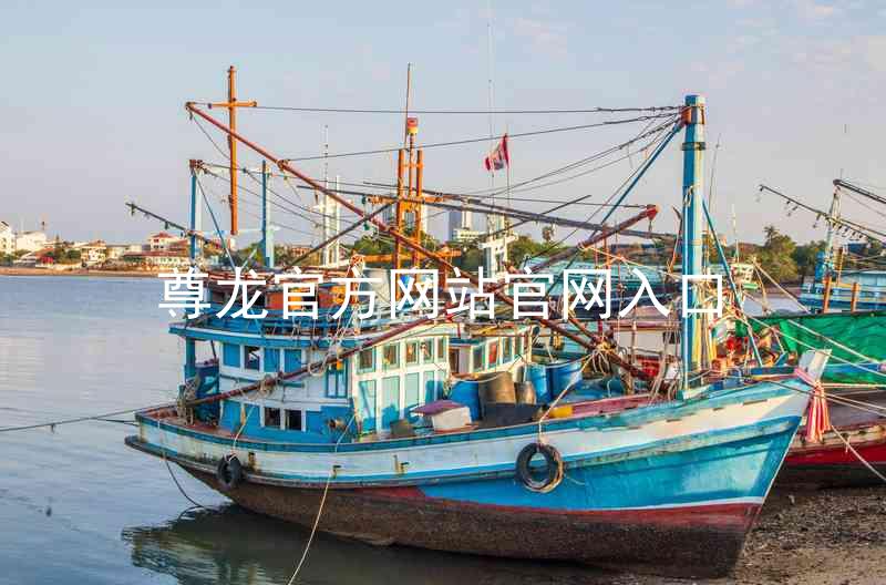 尊龙官方网站官网入口
