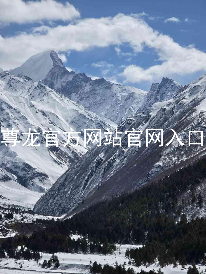尊龙官方网站官网入口