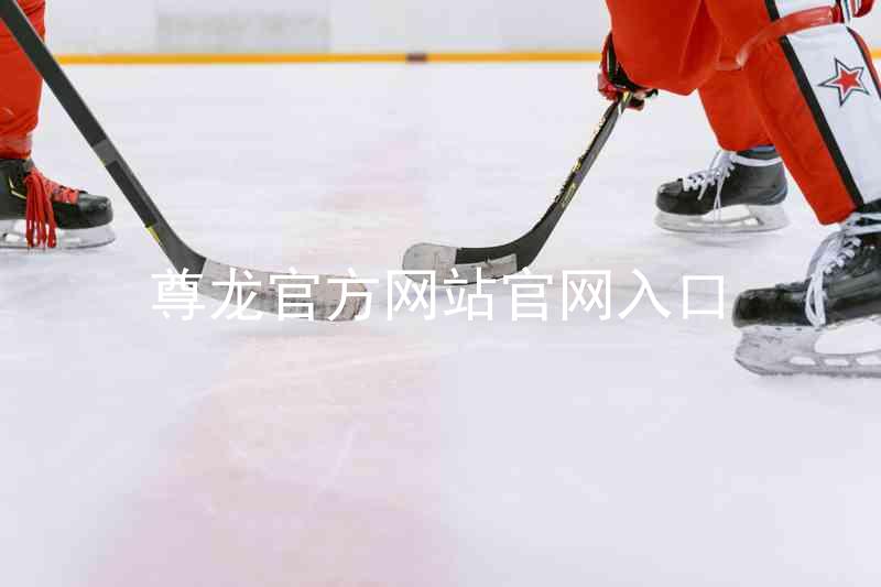 尊龙官方网站官网入口