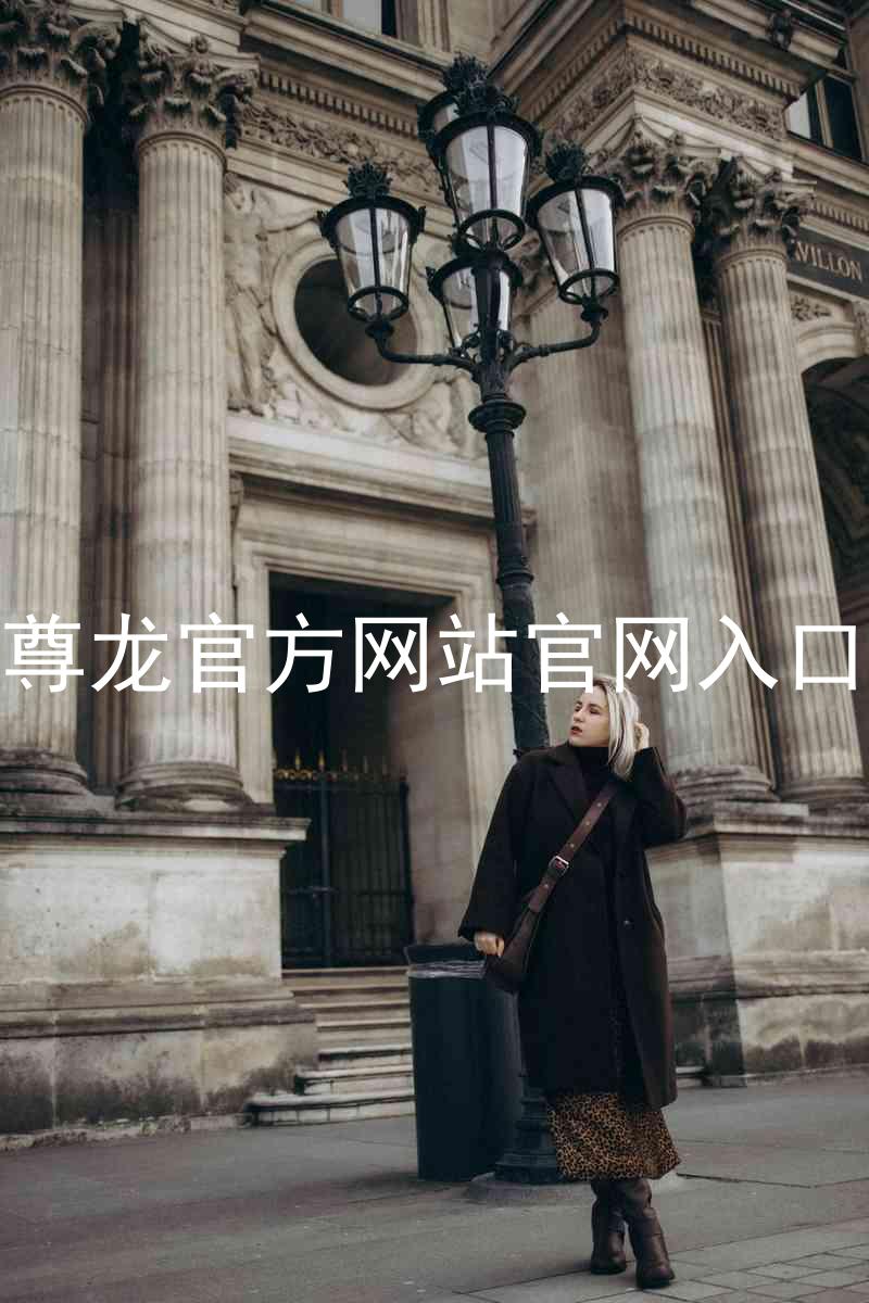 尊龙官方网站官网入口